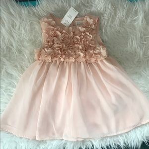 NWT Gap Floral Appliqué Dress